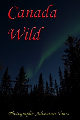 Canada Wild Photographic Adventure Tours - photo101.ca